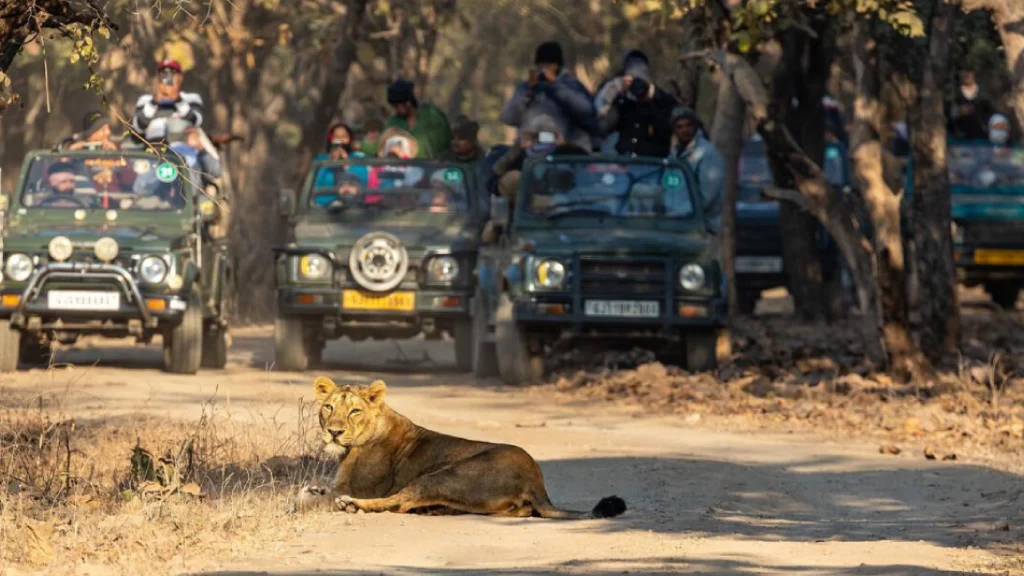 Viraaya Gir Resort