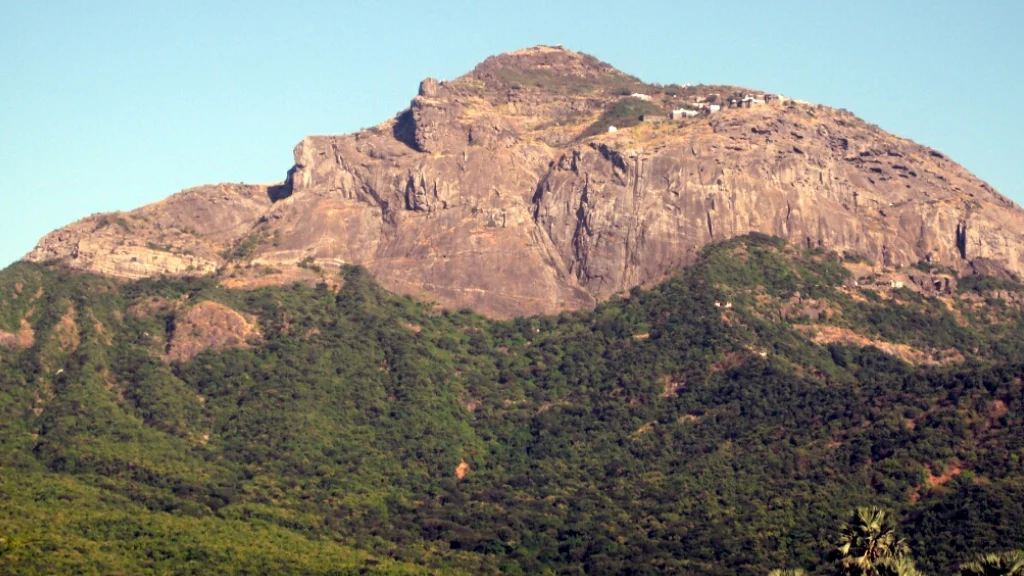 Viraaya Gir Resort