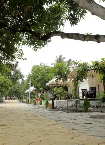 Viraaya Gir Resort