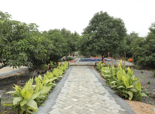 Viraaya Gir Resort