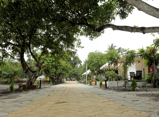 Viraaya Gir Resort