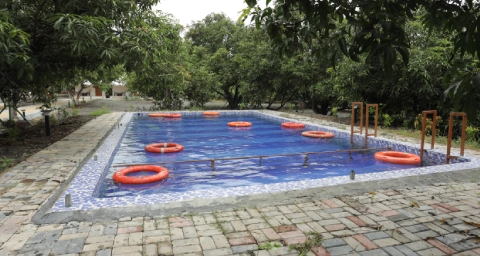 Viraaya Gir Resort