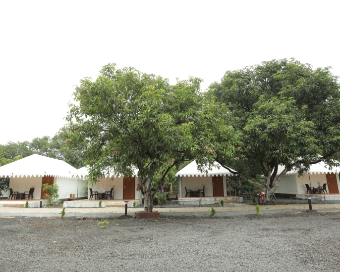 Viraaya Gir Resort