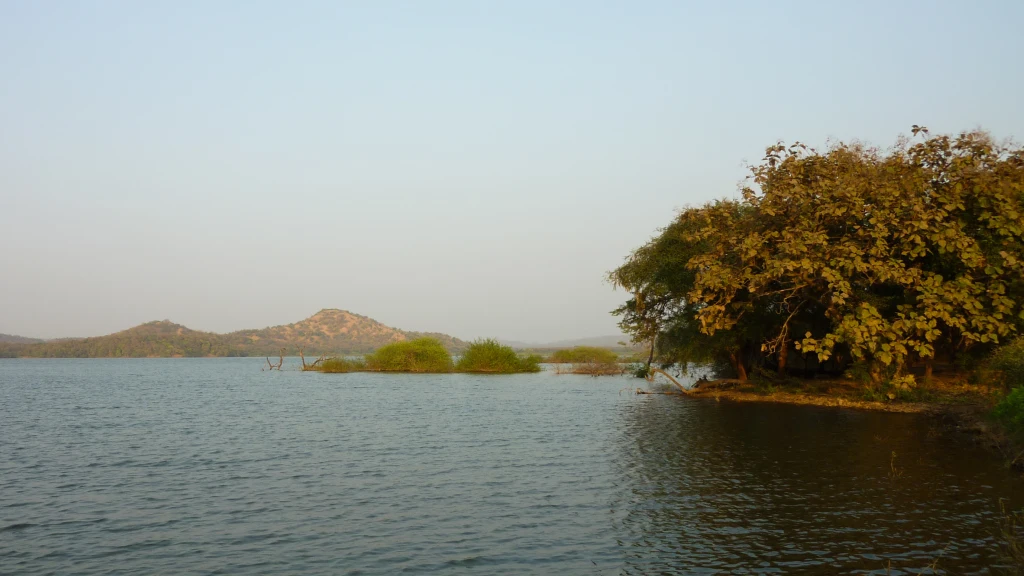 best resort near sasan gir,Gir Jungle Safari Resort,Resorts near Devalia Safari Park,resorts near somnath temple