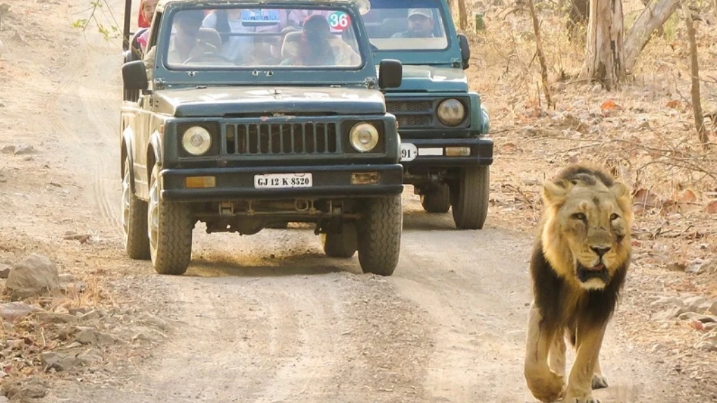 best resort near sasan gir,Gir Jungle Safari Resort,Resorts near Devalia Safari Park,resorts near somnath temple