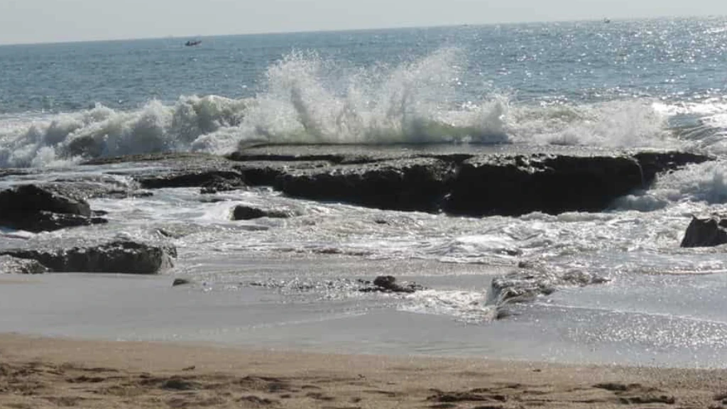 best resort near sasan gir,Gir Jungle Safari Resort,Resorts near Devalia Safari Park,resorts near somnath temple