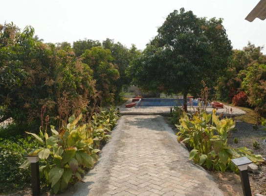 Viraaya Gir Resort,Booking resorts near gir forest