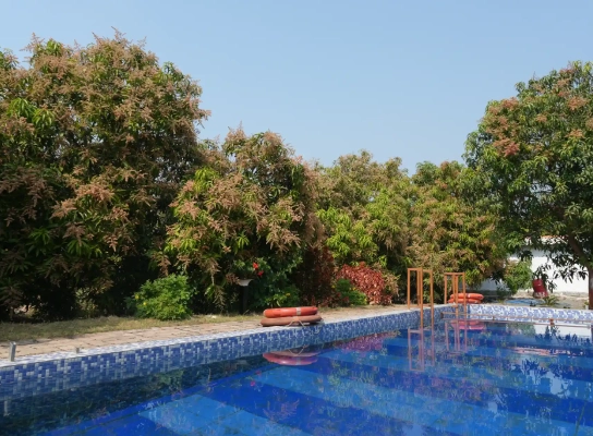 Viraaya Gir Resort,Booking resorts near gir forest