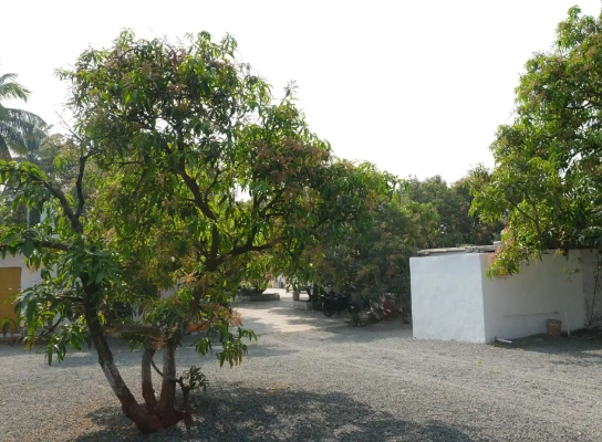 Viraaya Gir Resort,Booking resorts near gir forest