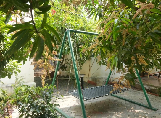 Viraaya Gir Resort,Booking resorts near gir forest